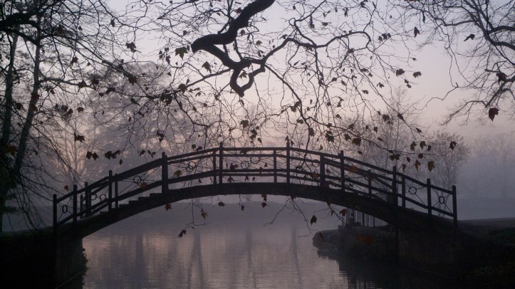 Christ Church Meadow ⓒ James Trickey