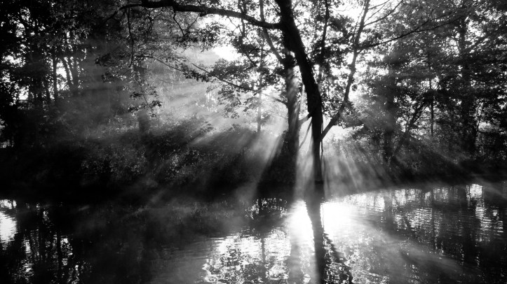 Morning Rays ⓒ James Trickey