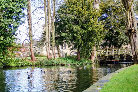 Worcester College lake ⓒ Merchant of Venice 2013