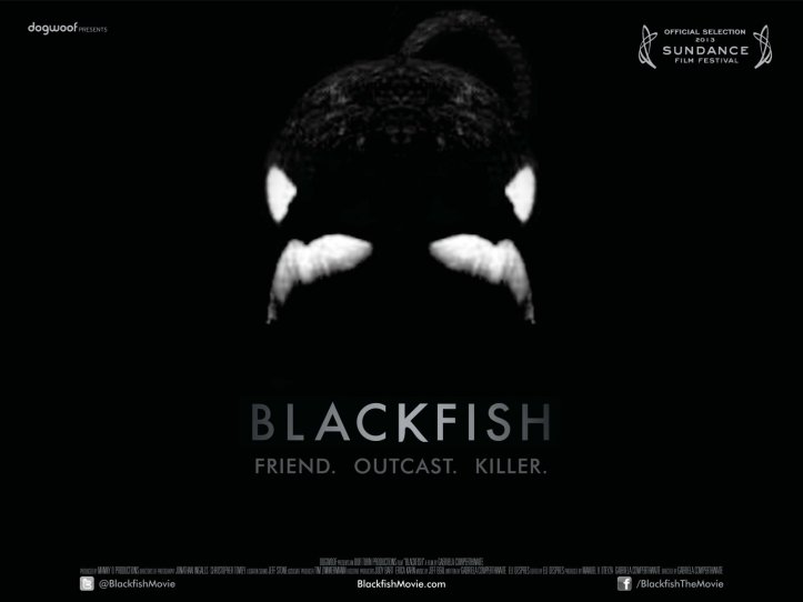 Blackfish ⓒ Dogwoof Documentaries