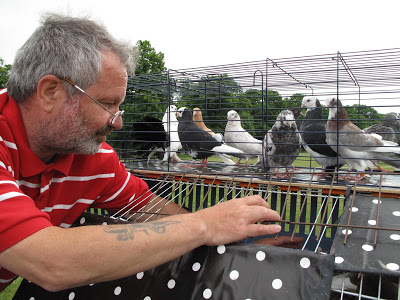 'Pigeon Pete' and the Birmingham Roller Pigeons
