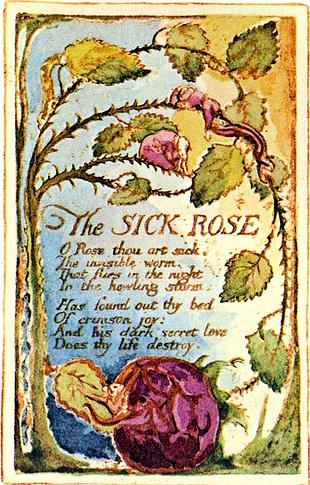 William Blake 'The Sick Rose'