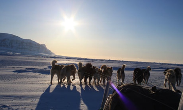 dogsled-greenland-007