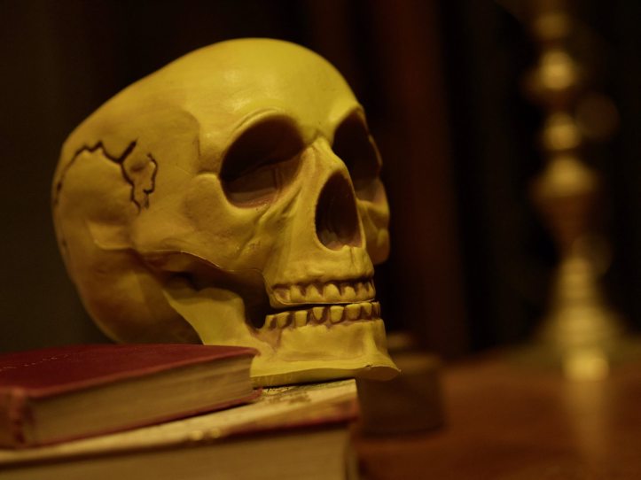 12694650_1653574688239535_7214787332516345471_o