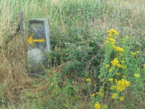 Image 6 - Yellow arrow