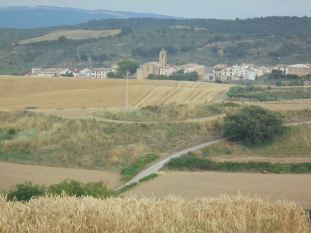 Image 7 - Camino today
